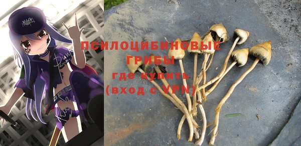 мескалин Волоколамск