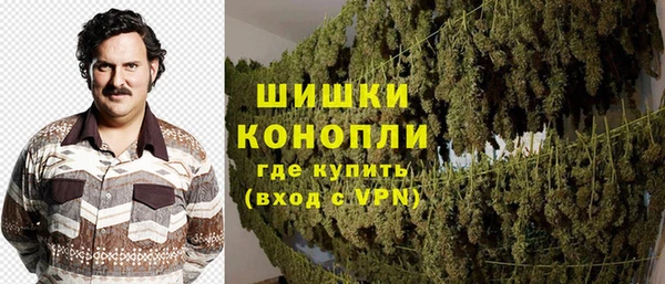 тгк Володарск