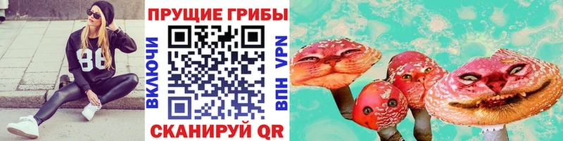 Галлюциногенные грибы мицелий  Курган 